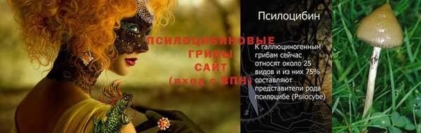 2c-b Балабаново